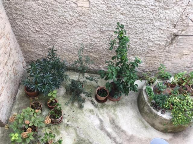 Ferienwohnung L'Arco Romano Foligno Exterior foto